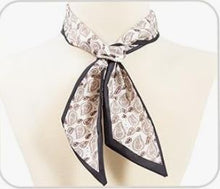 Load image into Gallery viewer, Maroon Paisley Twillie